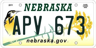 NE license plate APV673