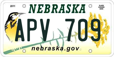 NE license plate APV709