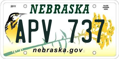 NE license plate APV737