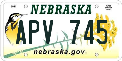 NE license plate APV745