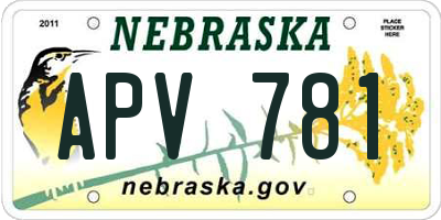 NE license plate APV781