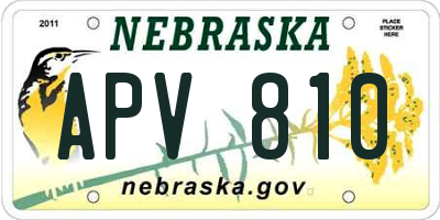 NE license plate APV810
