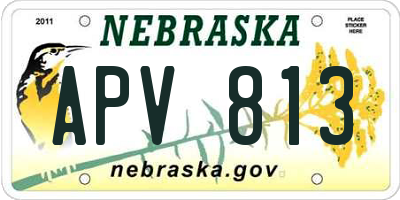 NE license plate APV813