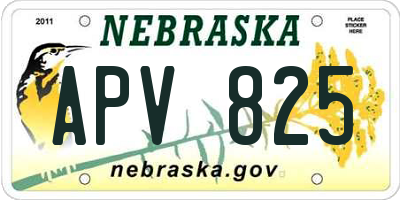 NE license plate APV825