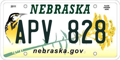 NE license plate APV828