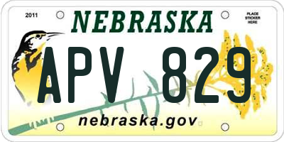 NE license plate APV829