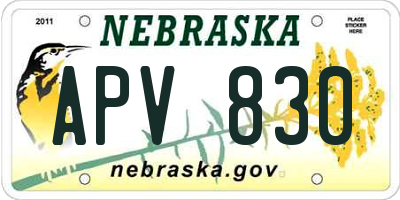 NE license plate APV830
