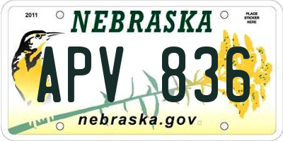 NE license plate APV836