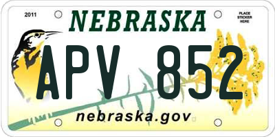 NE license plate APV852