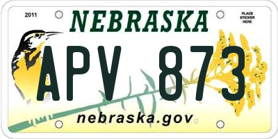 NE license plate APV873