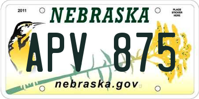 NE license plate APV875