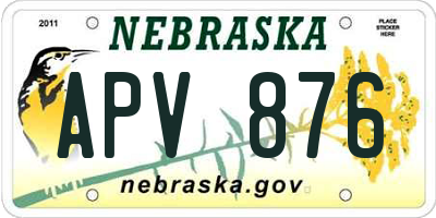 NE license plate APV876