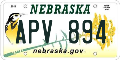 NE license plate APV894