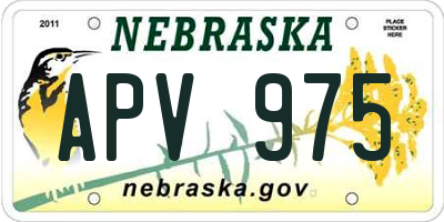NE license plate APV975