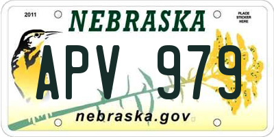 NE license plate APV979