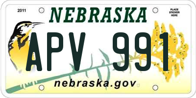 NE license plate APV991