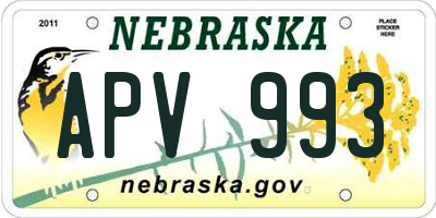 NE license plate APV993