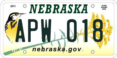 NE license plate APW018