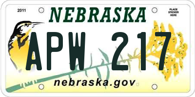 NE license plate APW217