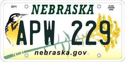 NE license plate APW229