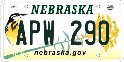 NE license plate APW290