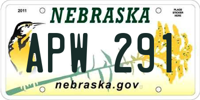 NE license plate APW291