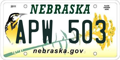 NE license plate APW503