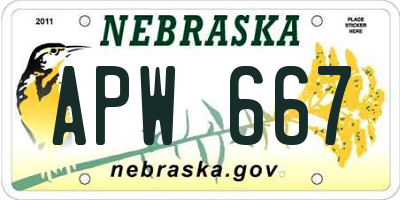 NE license plate APW667