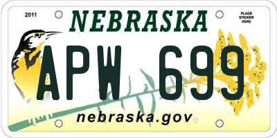 NE license plate APW699