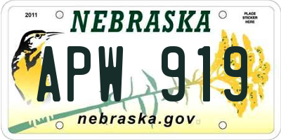 NE license plate APW919