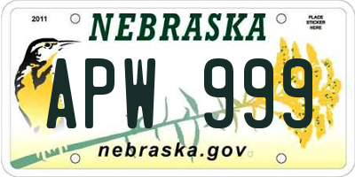 NE license plate APW999
