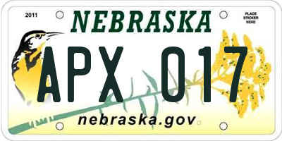 NE license plate APX017