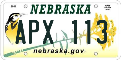 NE license plate APX113