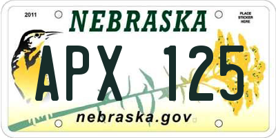 NE license plate APX125