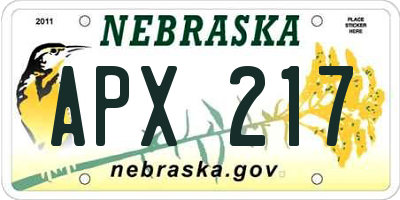 NE license plate APX217