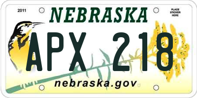NE license plate APX218