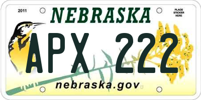 NE license plate APX222