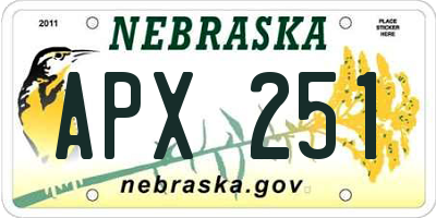 NE license plate APX251