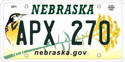 NE license plate APX270
