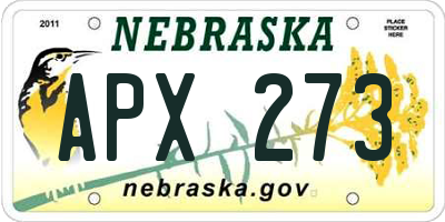 NE license plate APX273