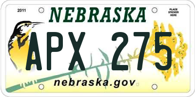 NE license plate APX275