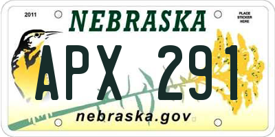 NE license plate APX291