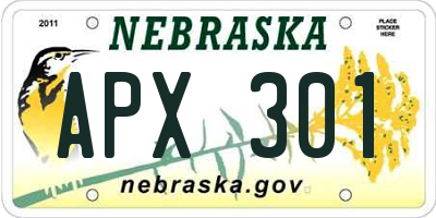 NE license plate APX301