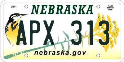 NE license plate APX313
