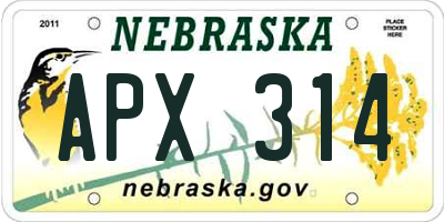 NE license plate APX314