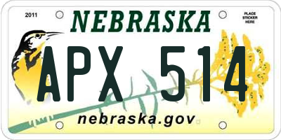 NE license plate APX514