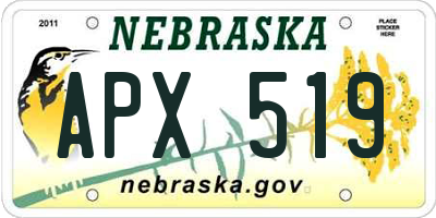 NE license plate APX519