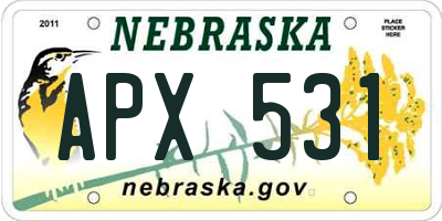 NE license plate APX531