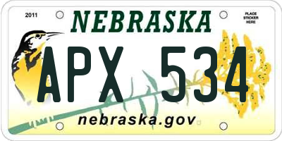 NE license plate APX534