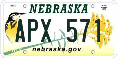 NE license plate APX571